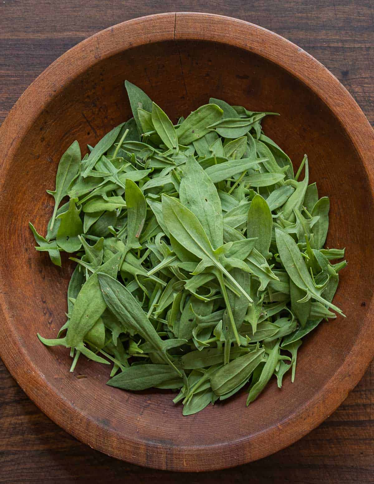 A bowl filled with wild sheep sorrell leaves. 