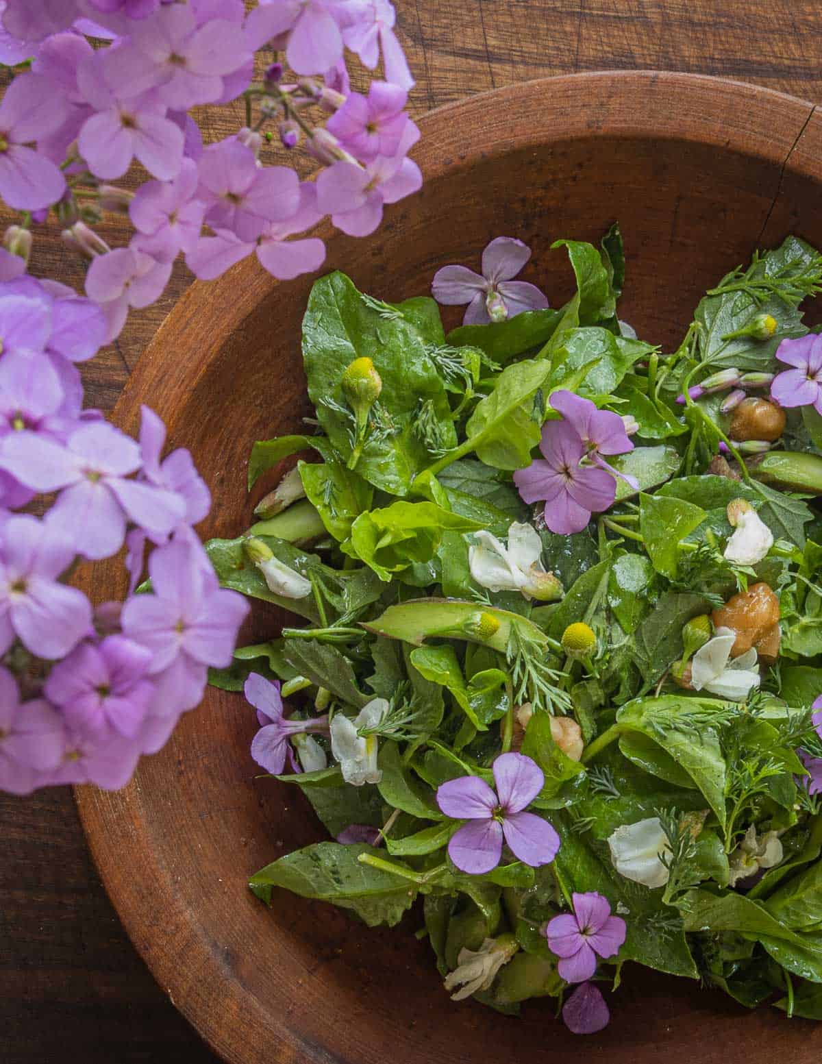 A salad of chickweed and other wild greens with purple dames rocket flowers and pineapple weed flowers.