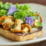 Chanterelle toast with shallots, herbs, wood sorrel and creeping bellflower leaves.