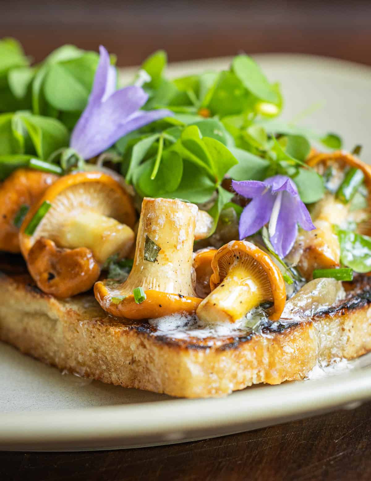 Chanterelle toast with shallots, herbs, wood sorrel and creeping bellflower leaves. 