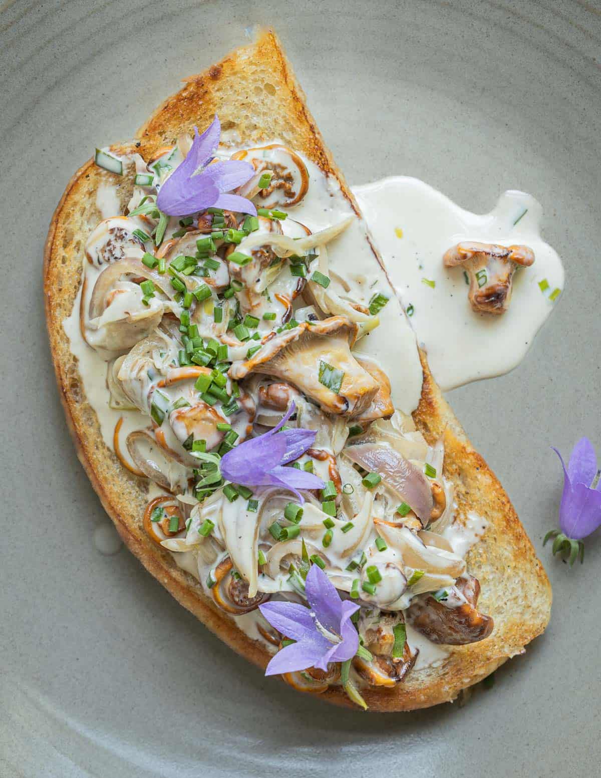 A top down image of creamy mushrooms on toast with shallots and bellflowers. 