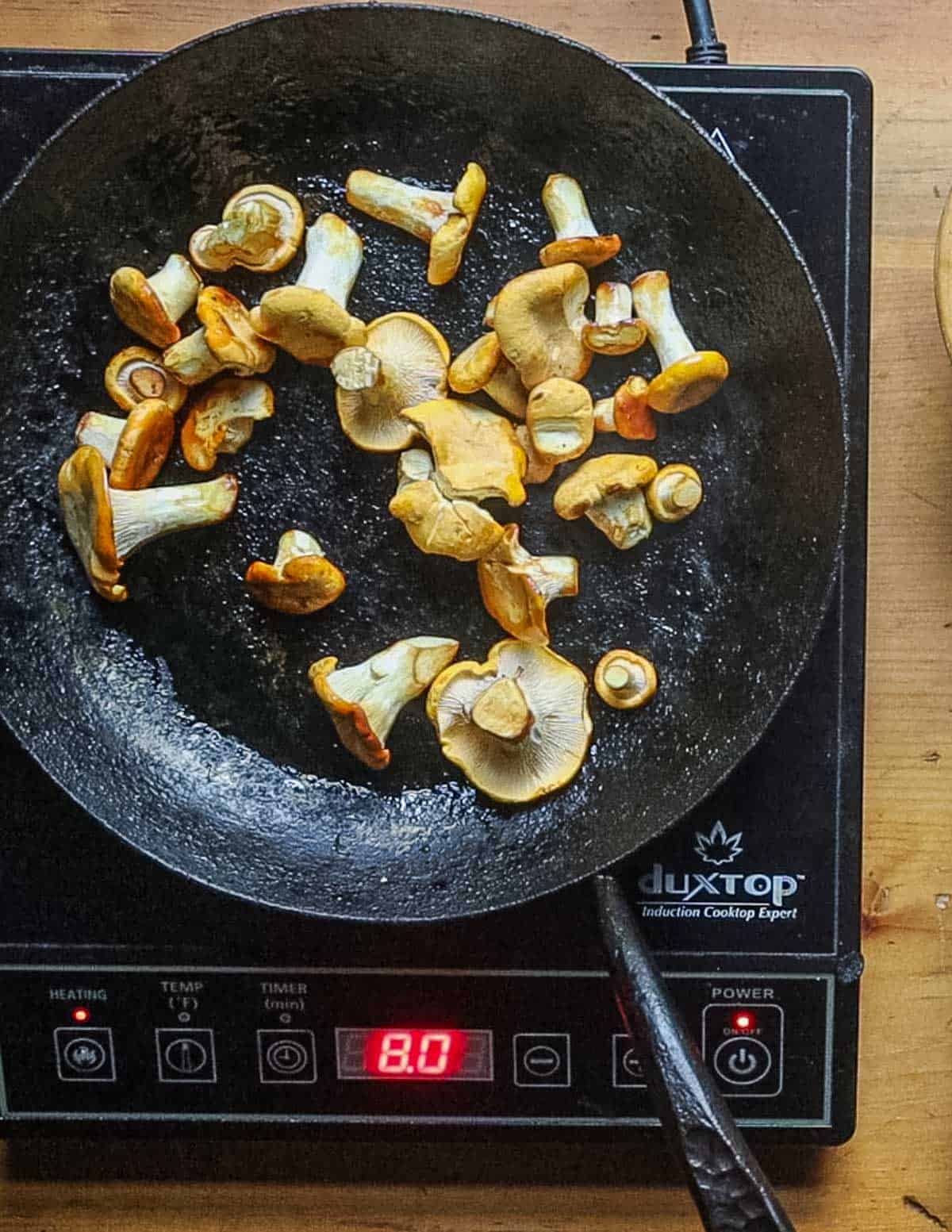 Cooking chanterelle mushrooms in a pan. 