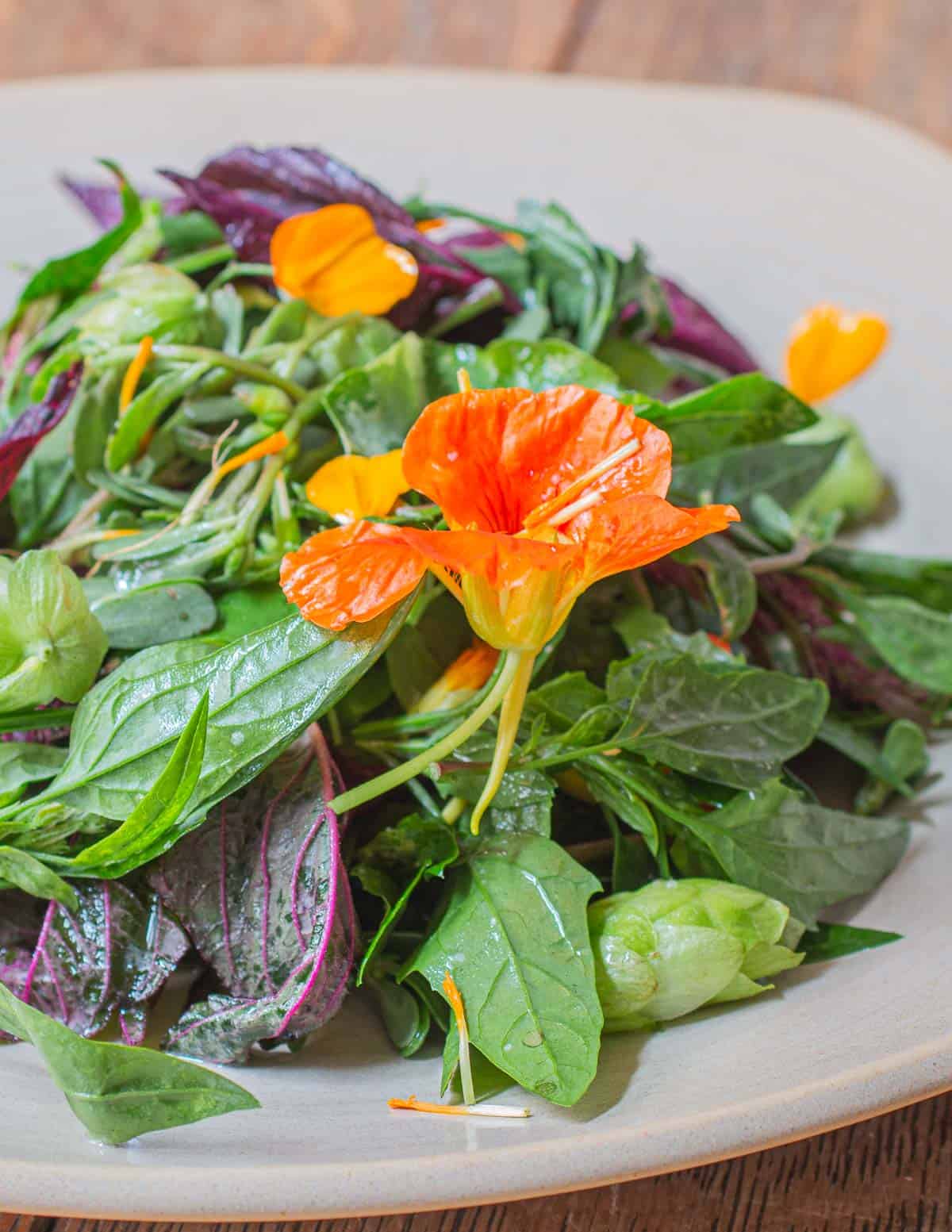 A salad of wild greens garnished with nasturtium flowers. 