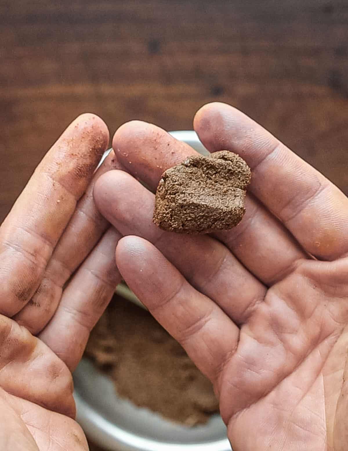 Two hands holding a ball of finished roasted linden seed chocolate. 