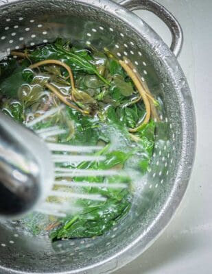 Rinsing cooked greens in a colander. 
