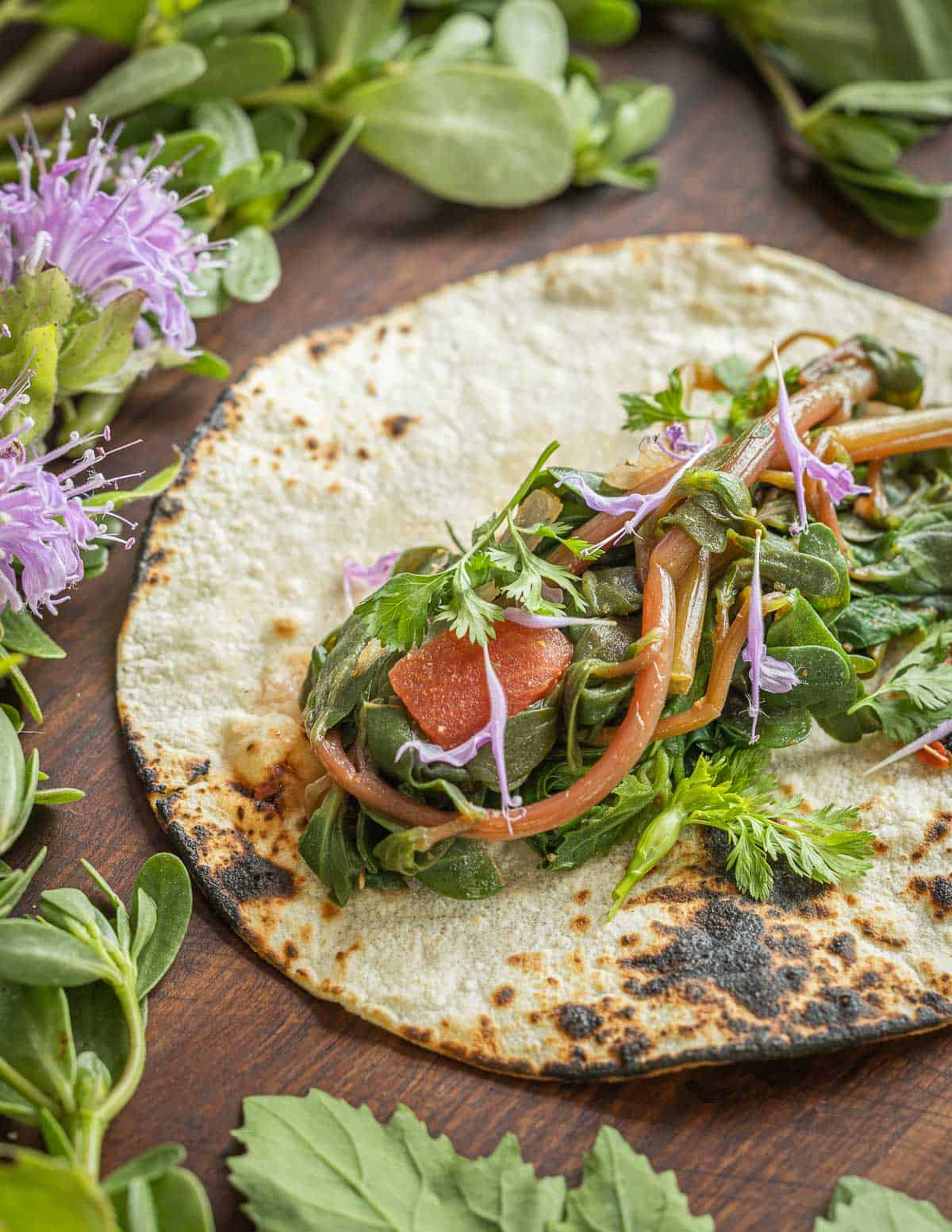 A grilled corn tortilla filled with cooked quelites surrounded by plants and flowers.