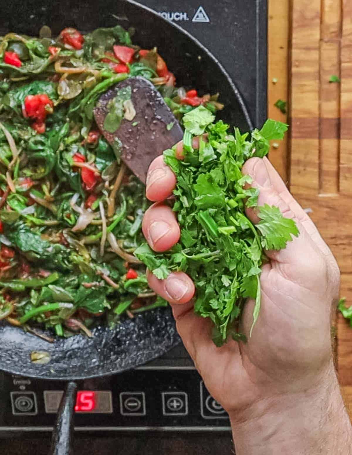 Adding a handful of cilantro to a pan of cooked greens. 