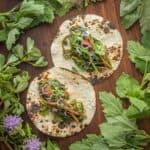 Grilled corn tortillas filled with cooked quelites surrounded by plants and flowers.