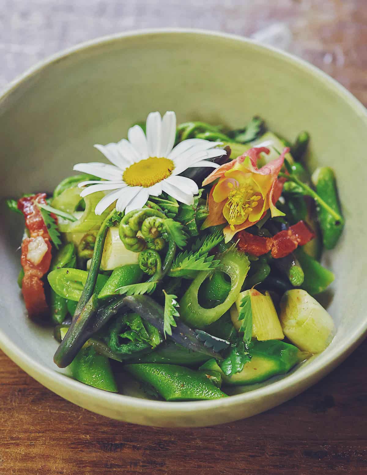 A salad of wild shoots with oxe eye daisy flowers. 