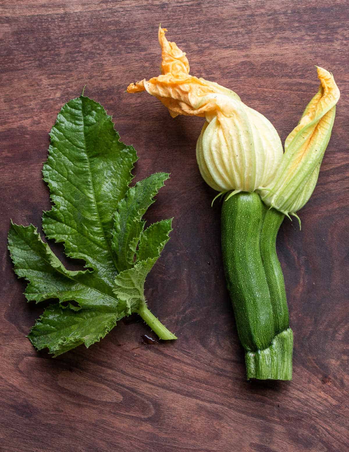 Squash blossoms and leaves or guias. 