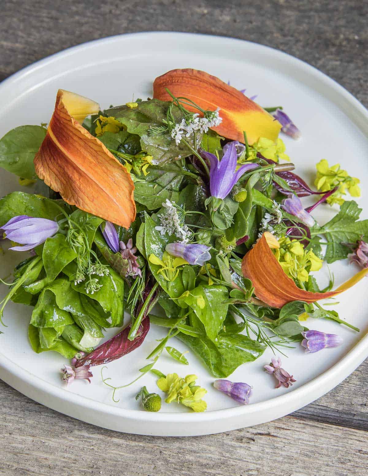 A salad of wild greens garnished with day lily flowers and many others. 