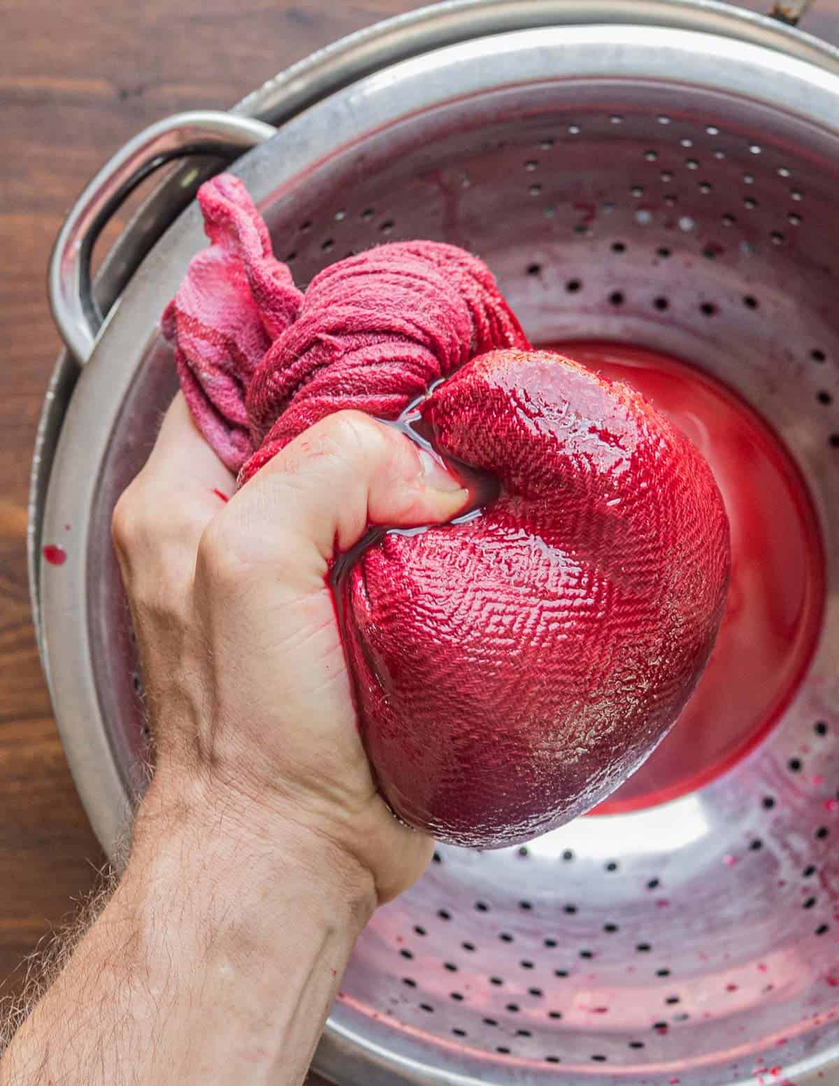 Squeezing cherry juice from cooked wild cherries wrapped in cheesecloth. 