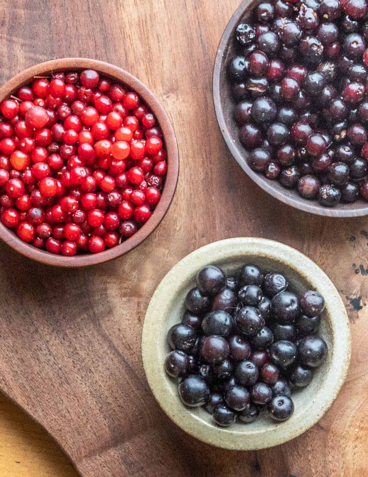 Pin cherries, choke cherries and sand cherries in bowls. 