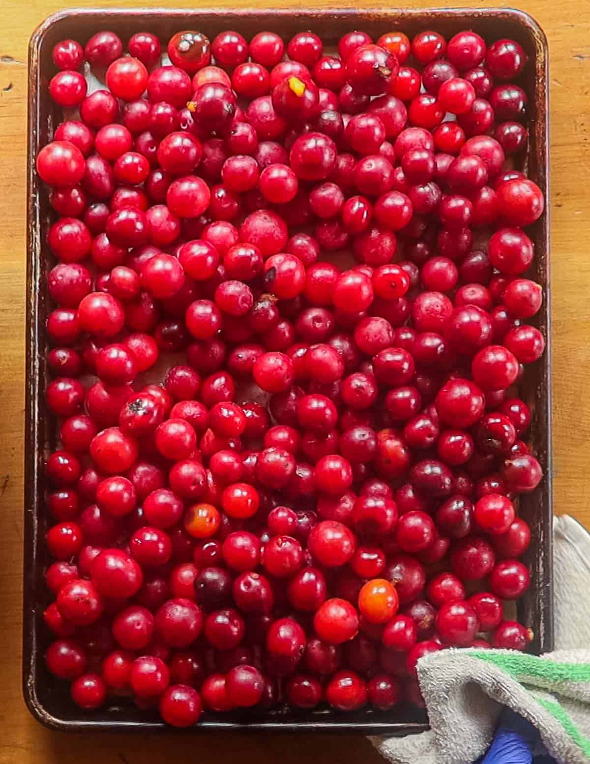 Baked wild plums on a baking sheet. 