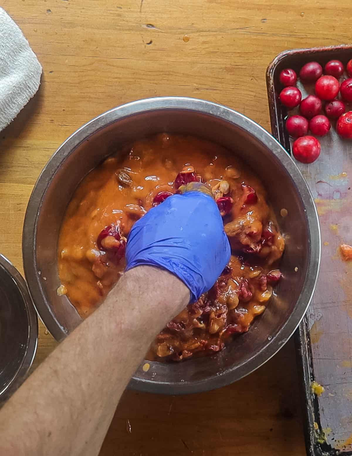 Crushing baked wild plums with a gloved hand in a bowl. 