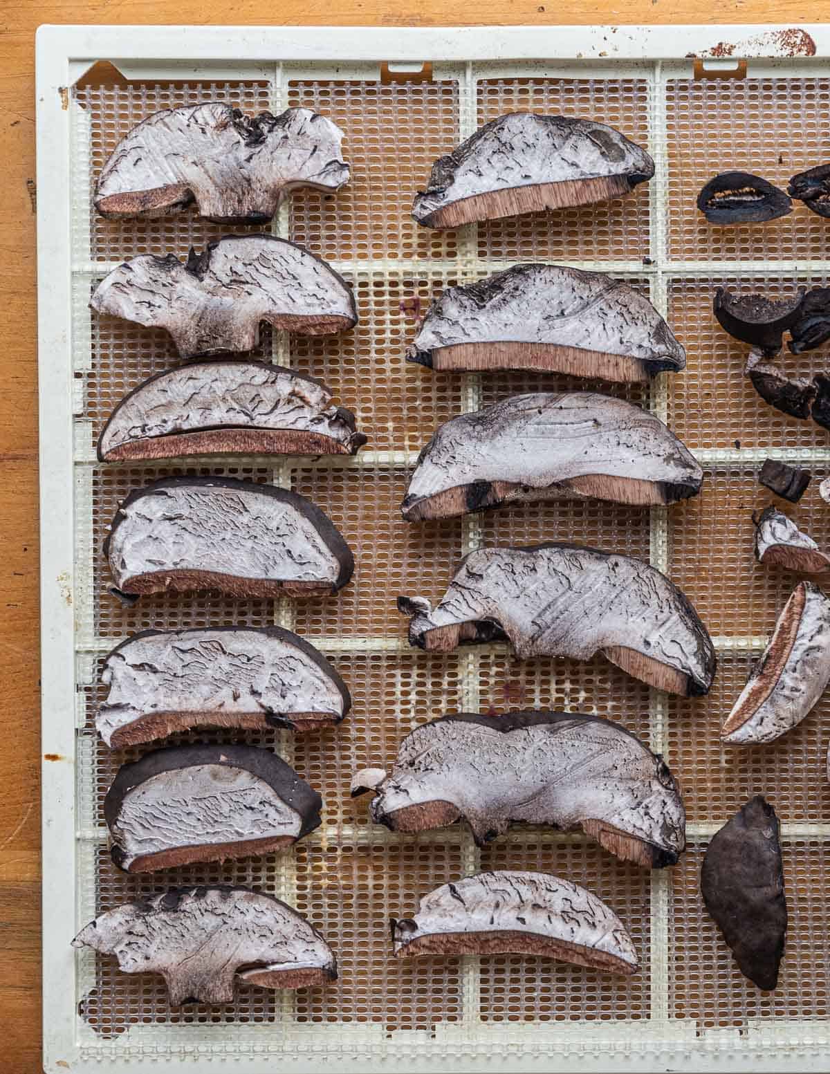 A dehydrator tray filled with sliced black velvet boletes or Tylopilus alboater. 