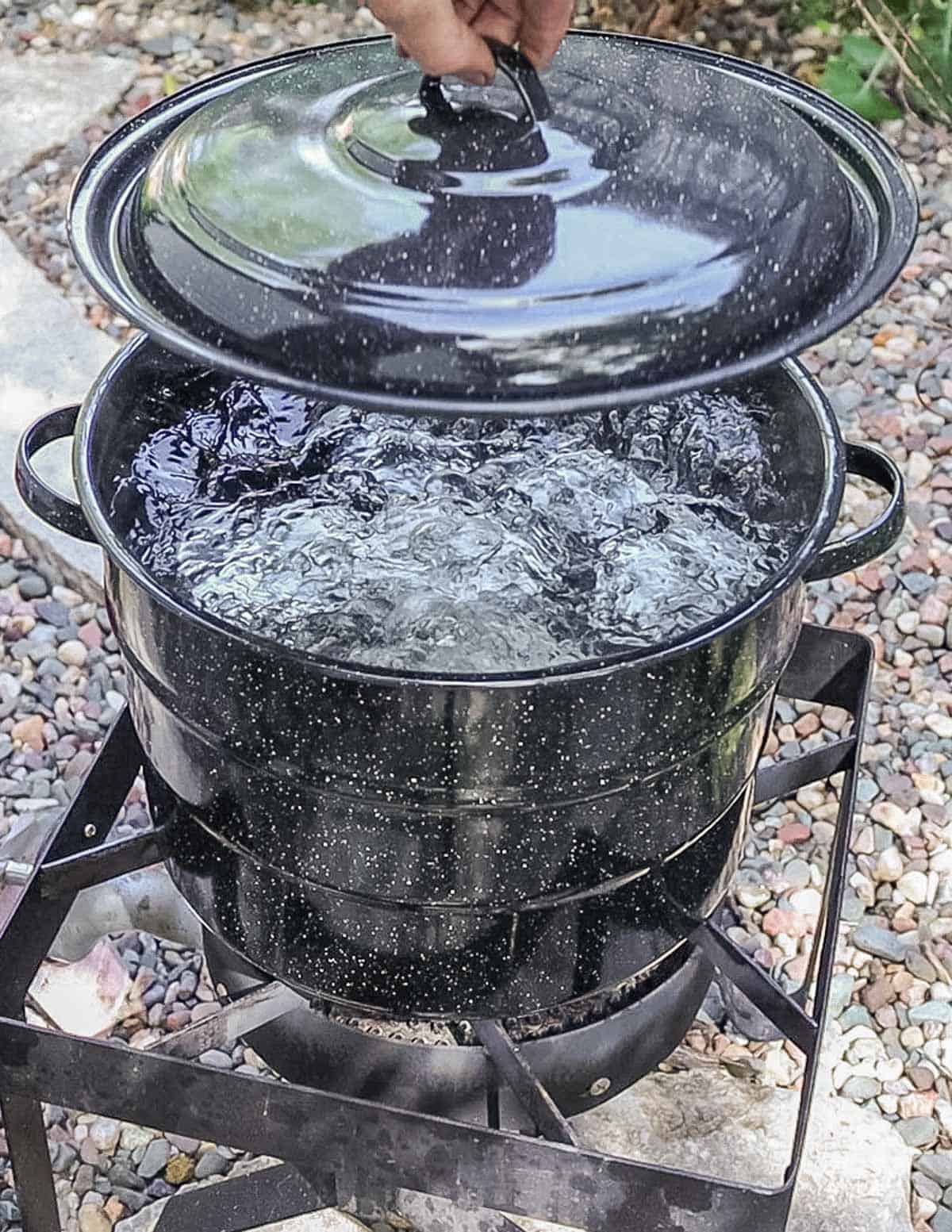 Boiling jars of crab apple jelly in a water bath canner. 