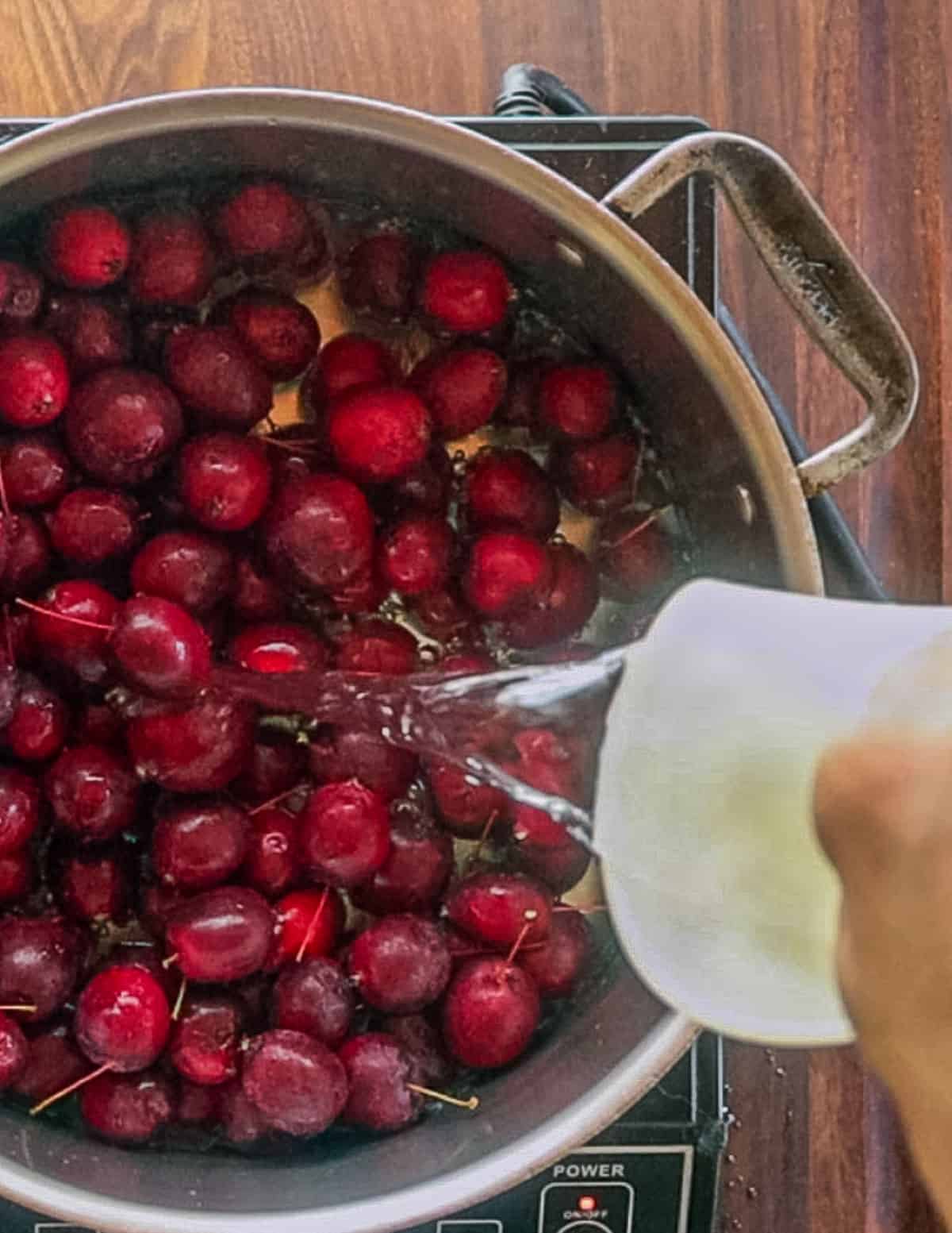 Adding water to a pot of crab apples. 