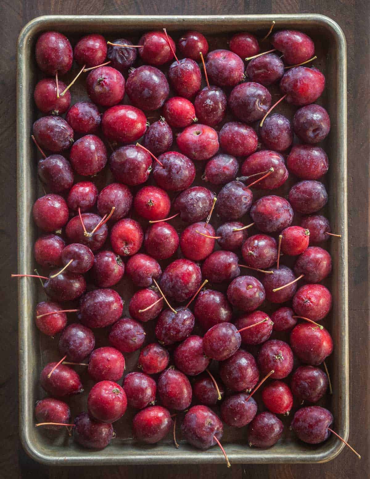 A baking tray filled with dolgo crab apples. 