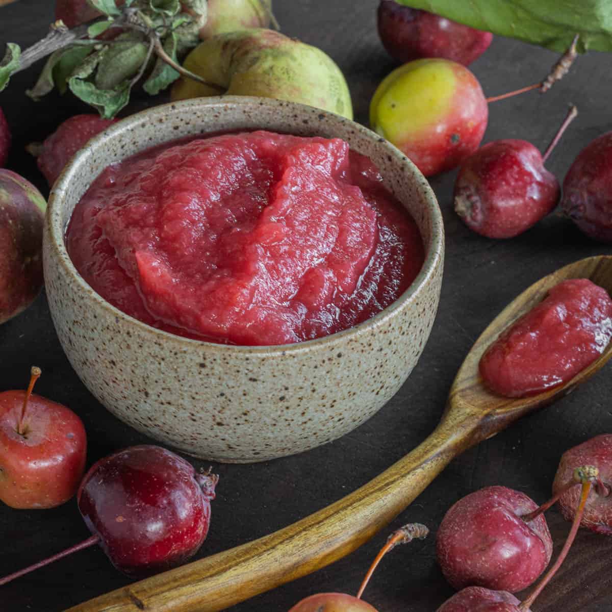 A bowl of red crabapple sauce next to wild crab apples.