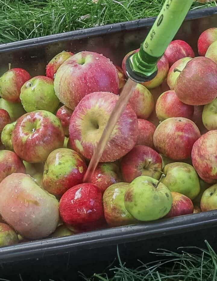 Maple Crab Apple Butter - Forager | Chef