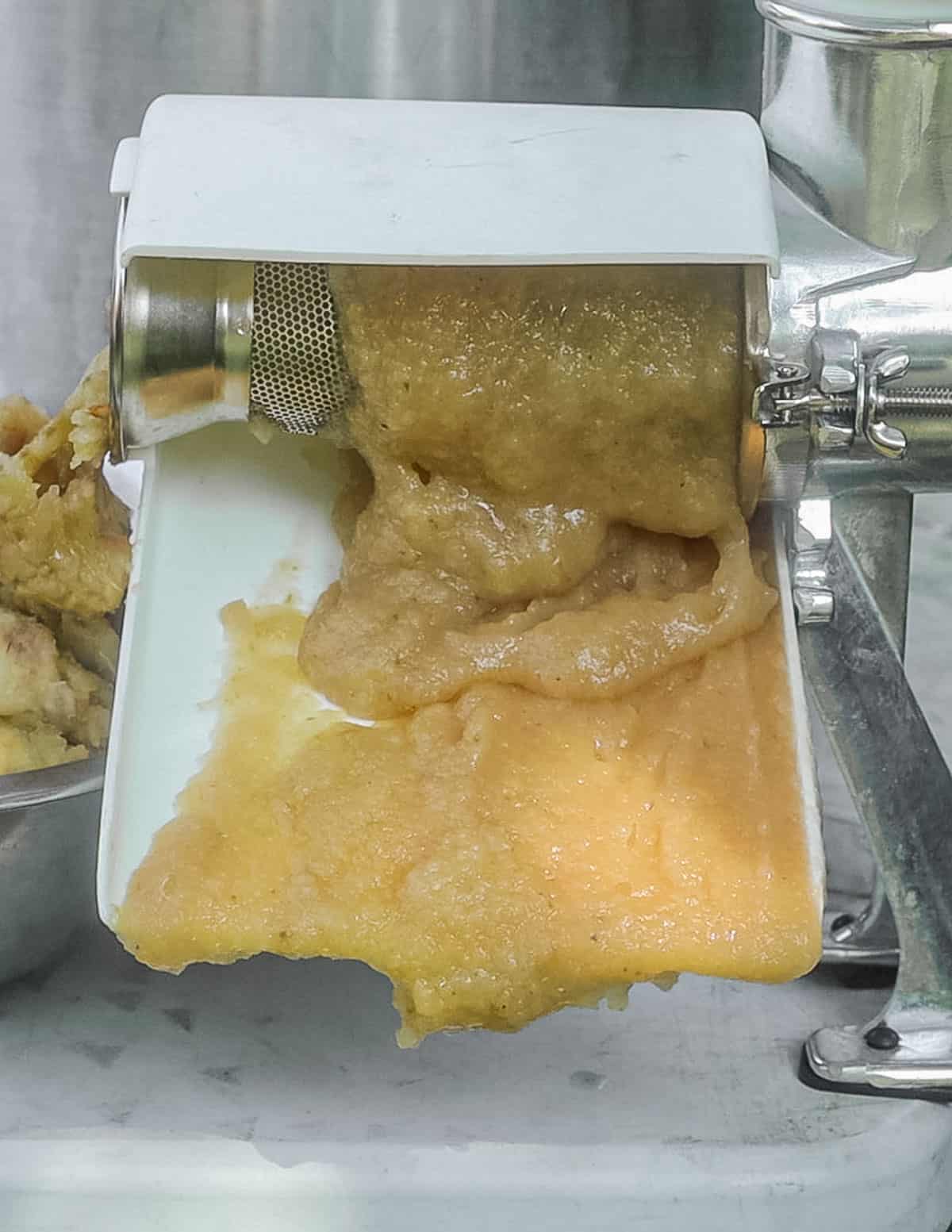 Apple sauce coming out of an apple sauce maker.