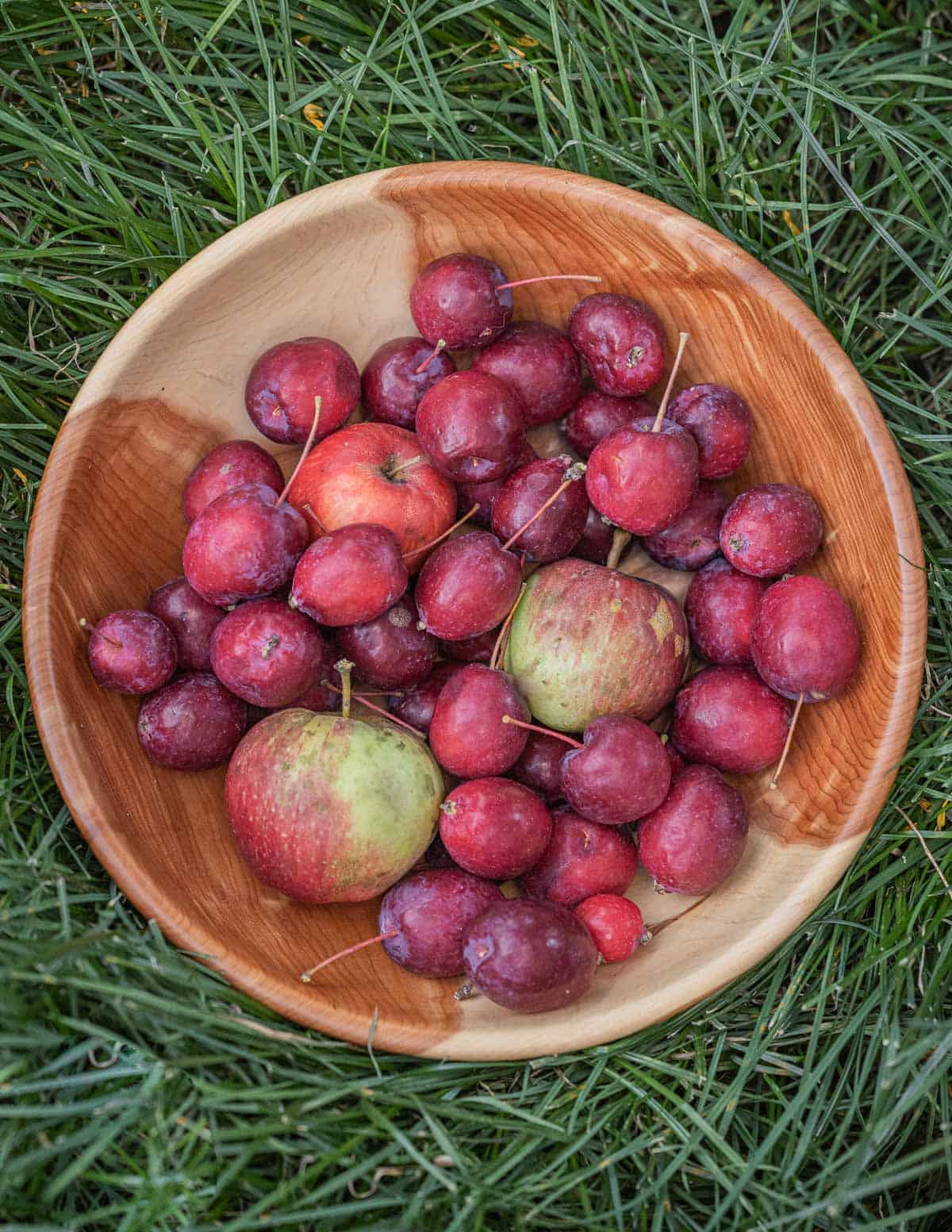 A cedar bowl filled with different types of crab apples. 