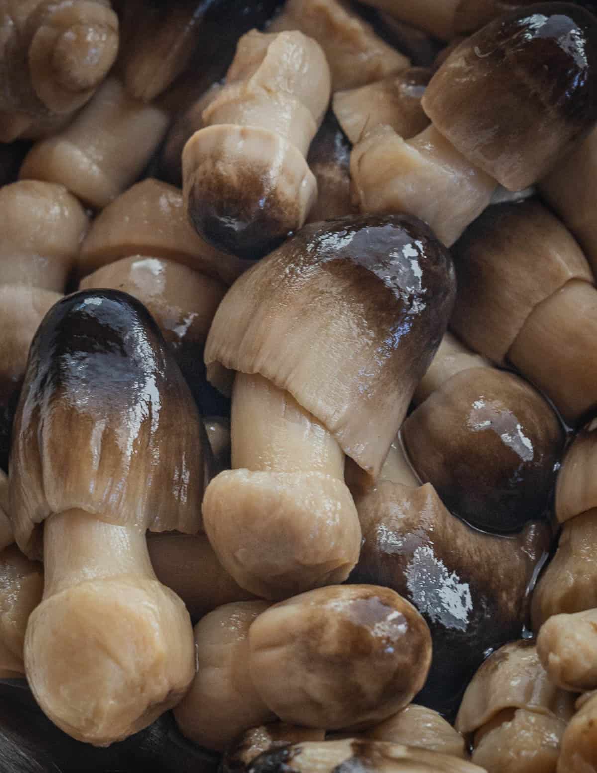 Canned paddy straw mushrooms. 