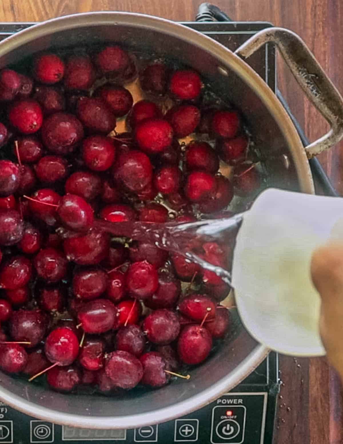 Adding water to a pot of crab apples. 
