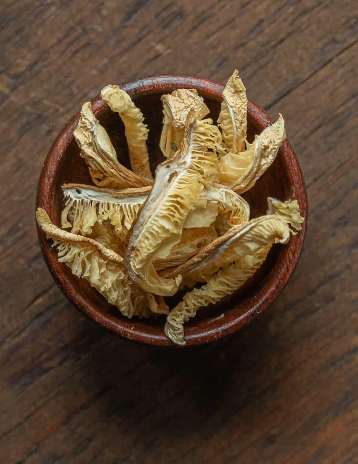 A bowl of dehydrated elm oyster mushrooms. 