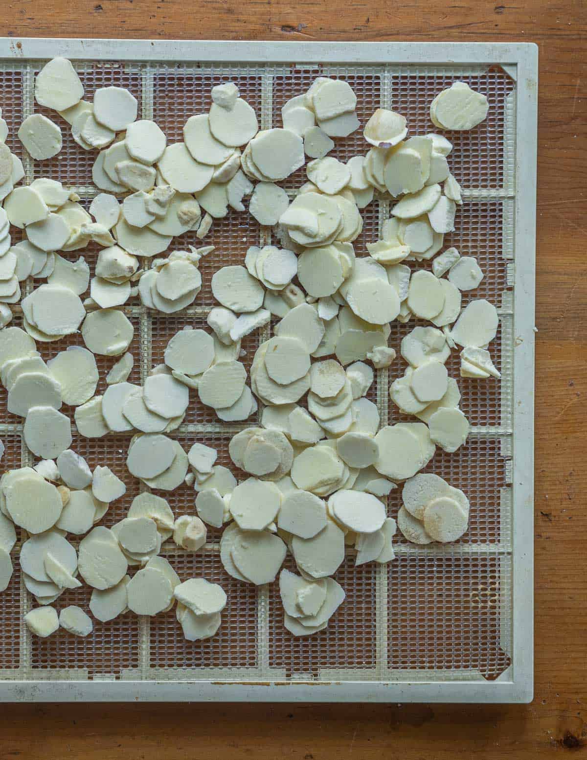 Laying sliced katniss potatoes on a dehydrating tray. 