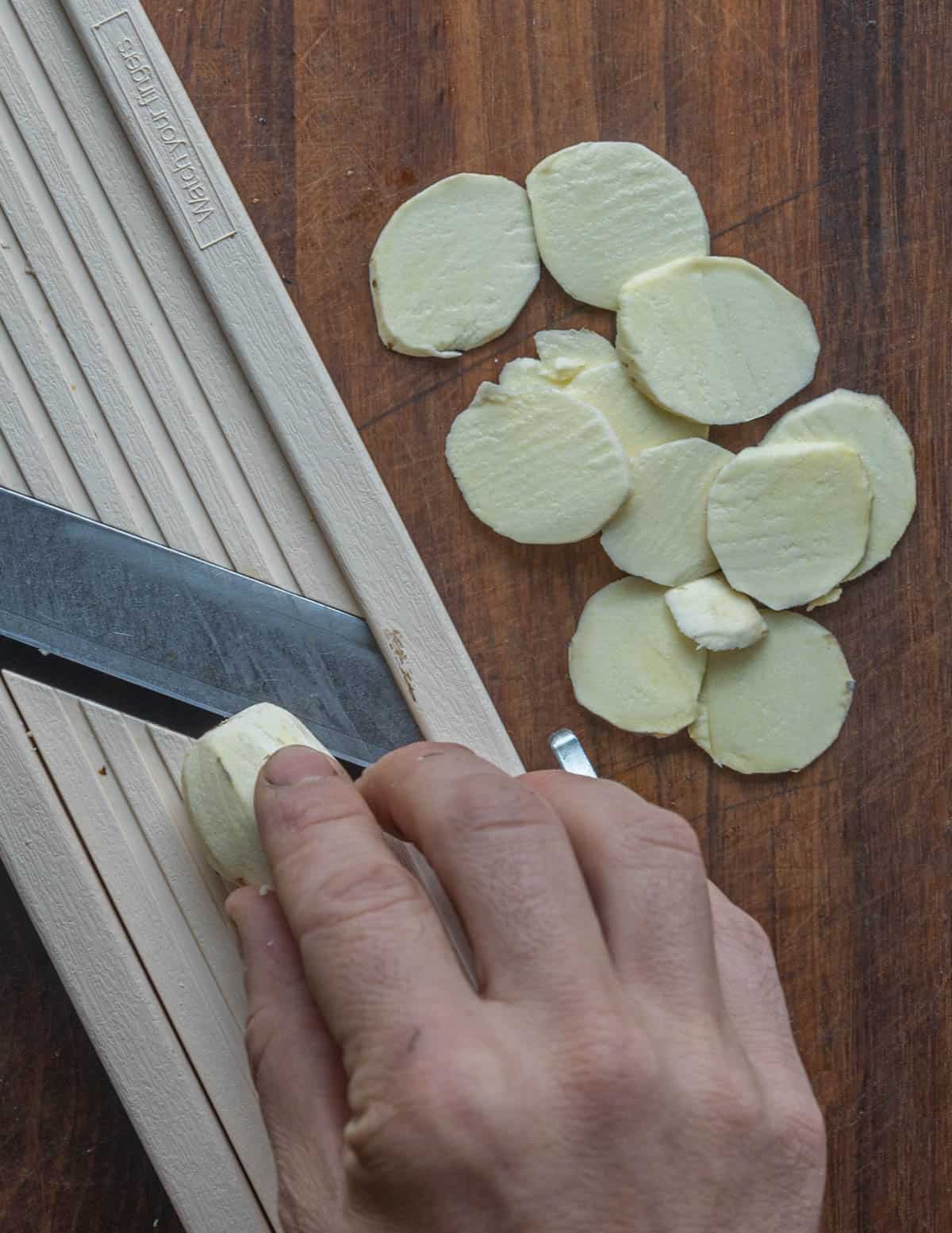 Slicing wapato potatoes with a mandoline slicer 