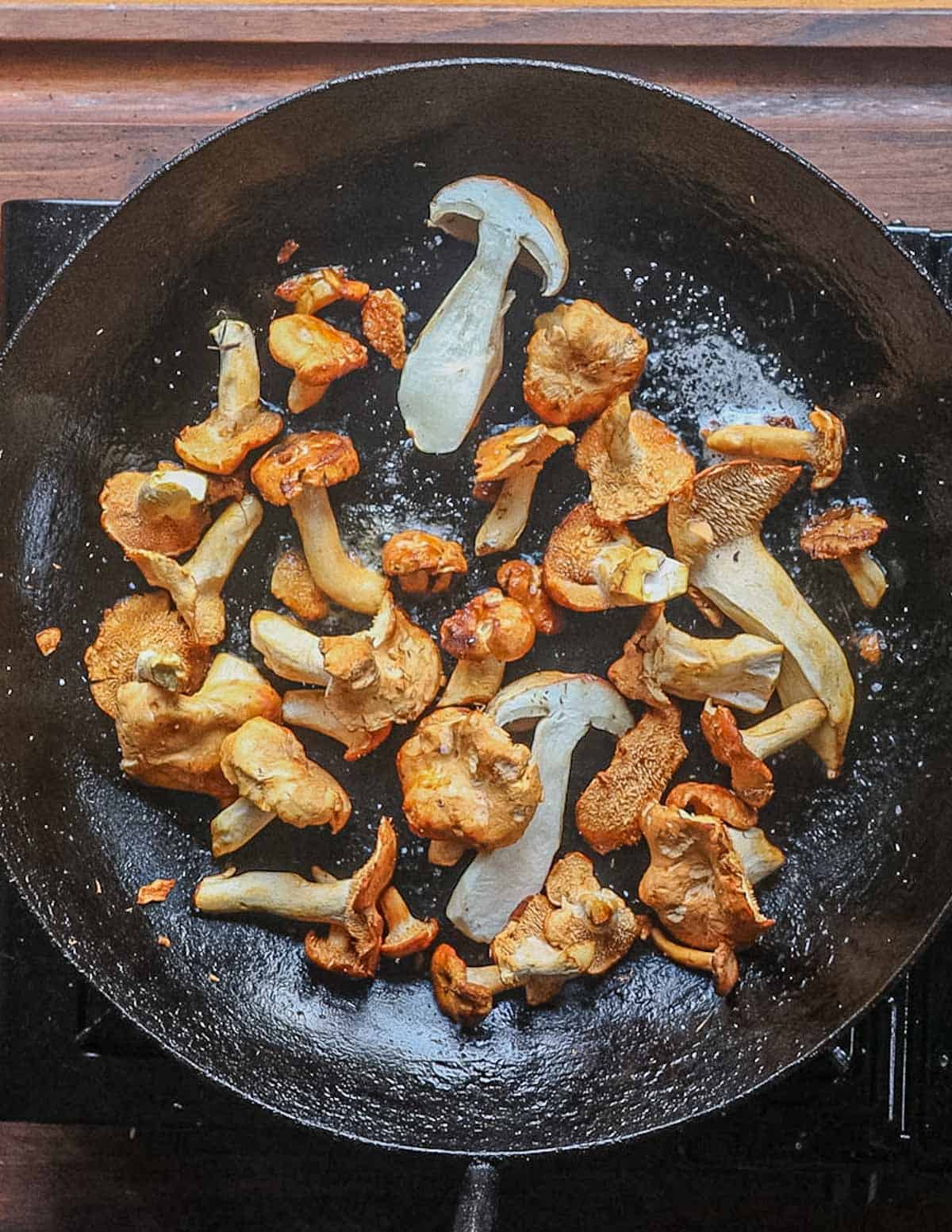 Sauteeing a pan of wild hedgehog mushrooms and porcini. 