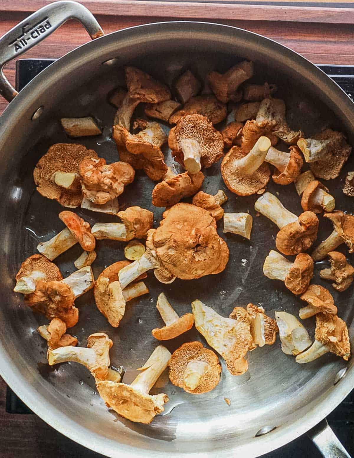 Cooking hedgehog mushrooms in a pan. 
