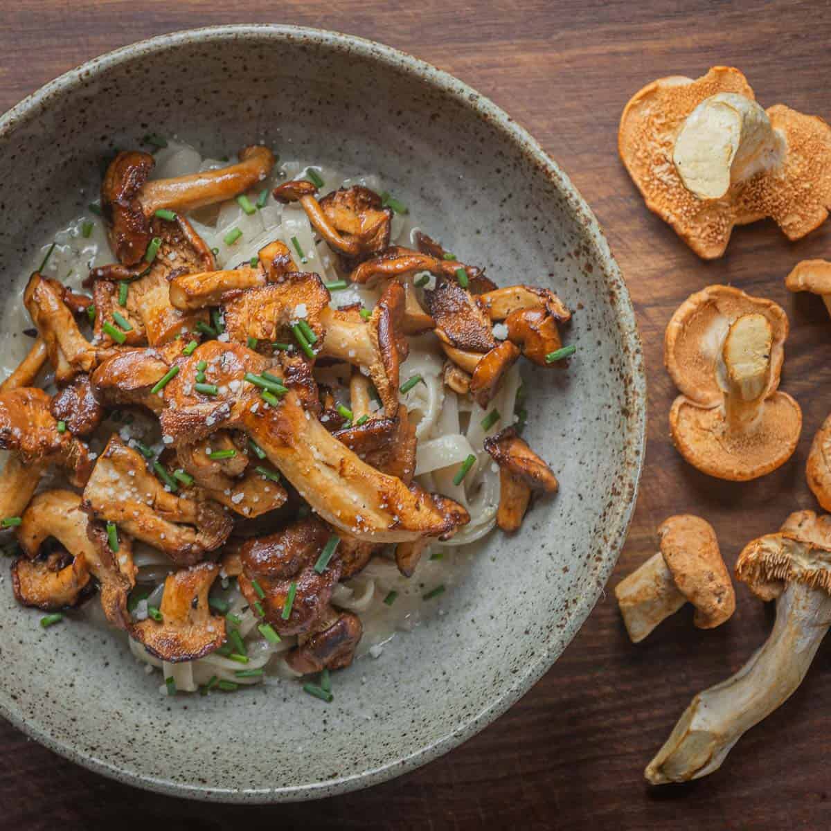 Hedgehog Mushroom Pasta