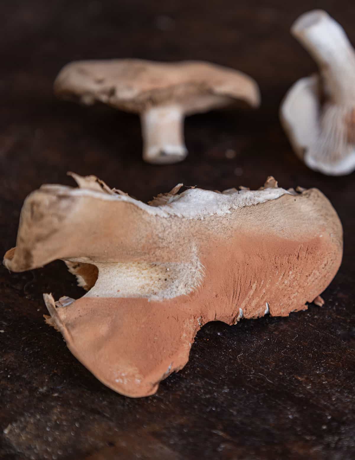 Non-aborted entoloma mushrooms (Entoloma abortivum) showing a pink spore print.