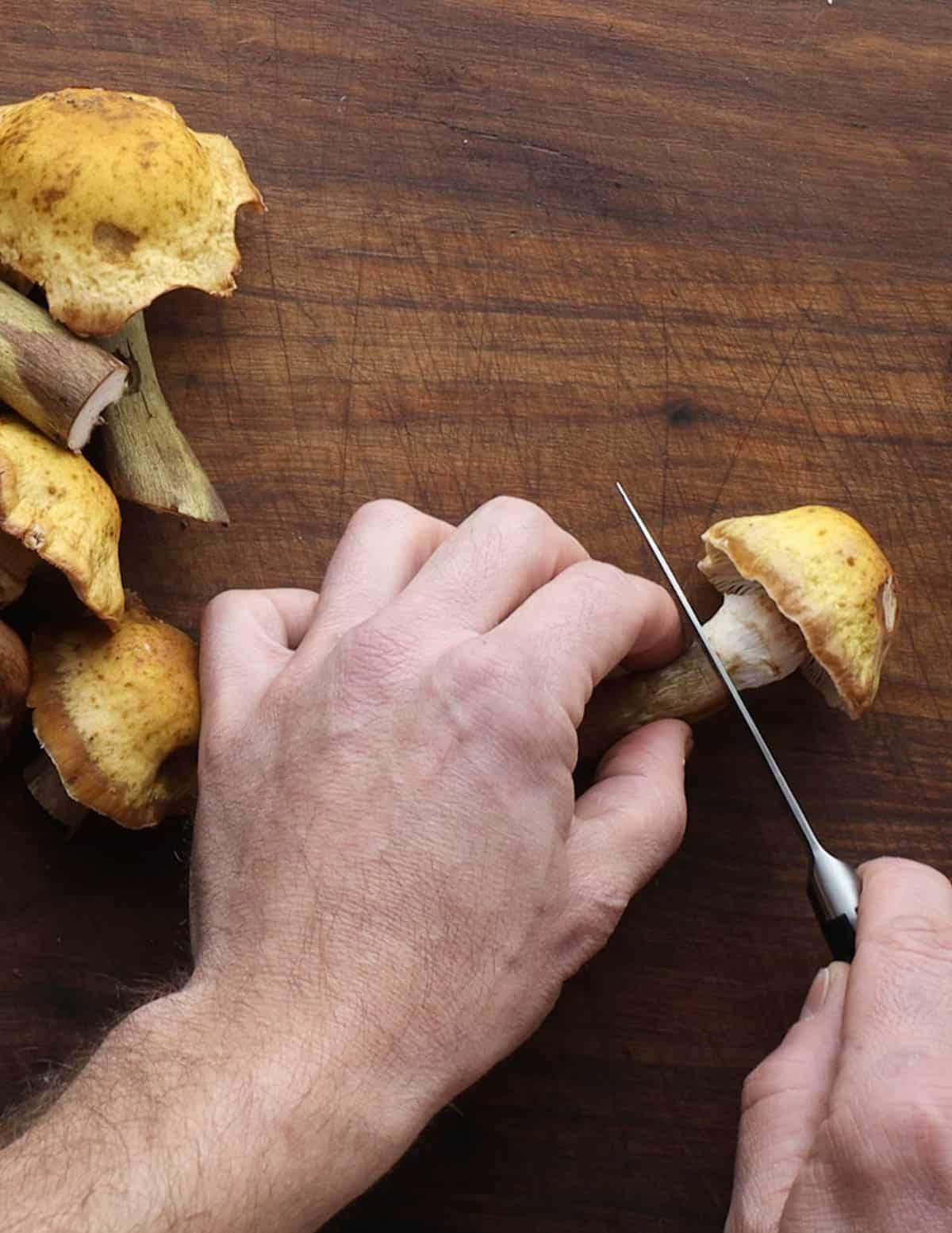 Trimming mushroom stems from the caps. 