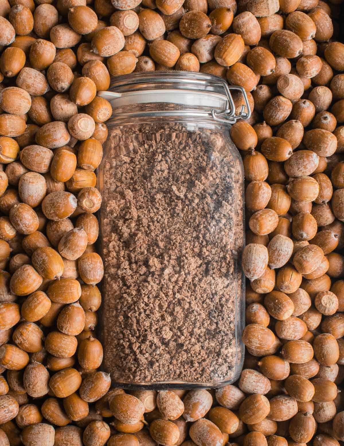 A jar of acorn flour next to many dried red oak acorns. 