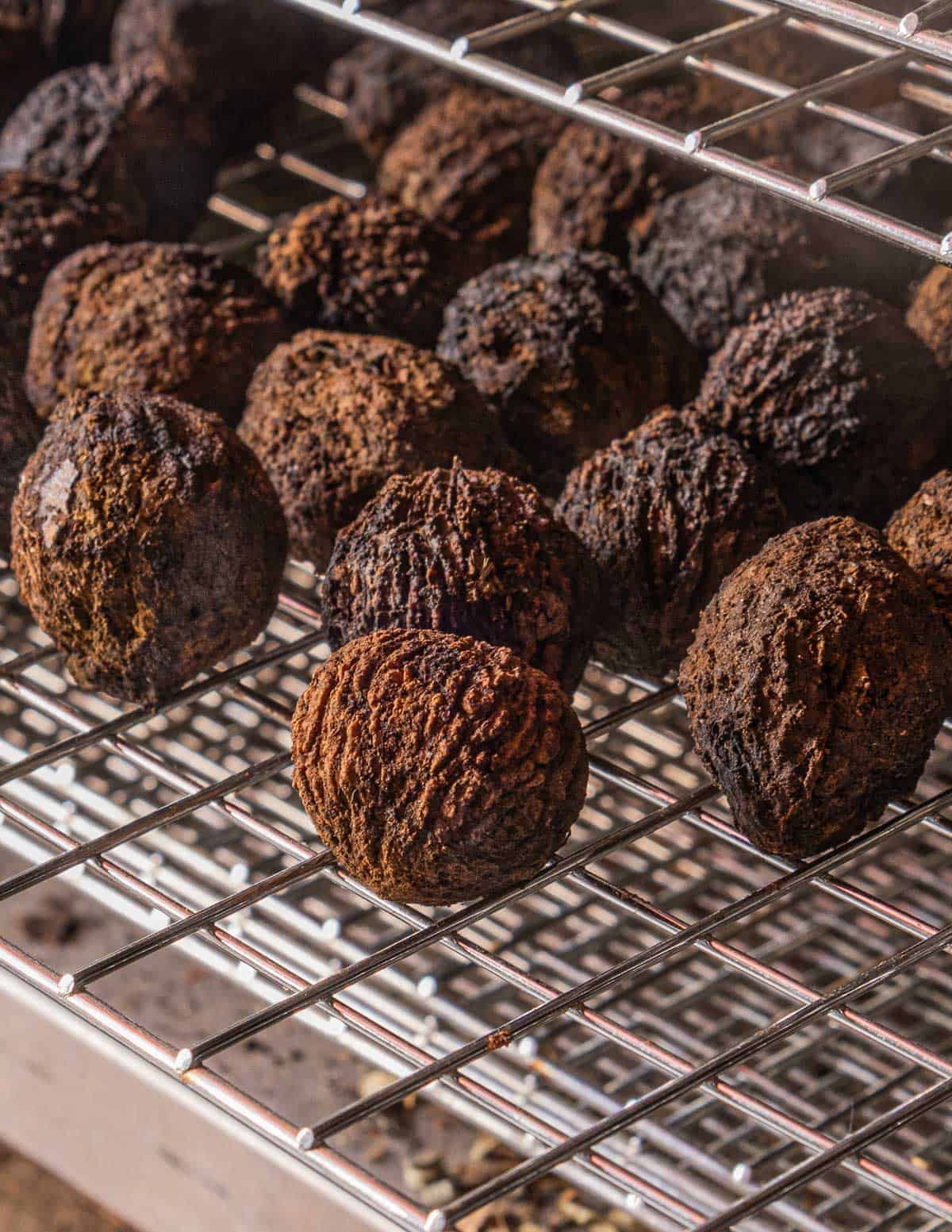 Drying black walnuts in a dehydrator. 