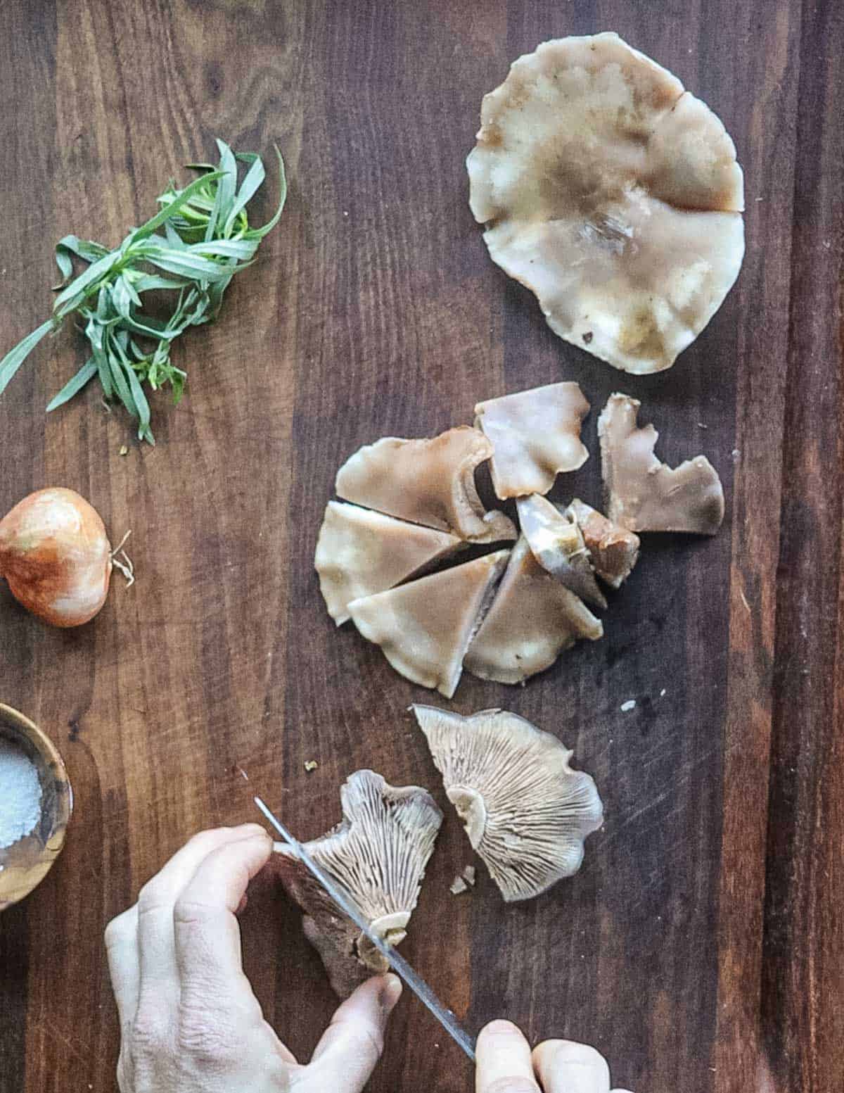 Cutting wood blewit mushrooms into pieces. 