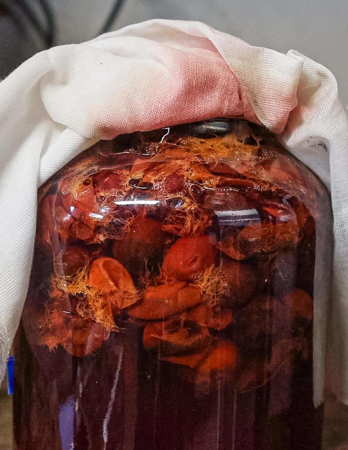 Close up image of a jar of fruit vinegar showing carbon dioxide bubbles from fermentation. 