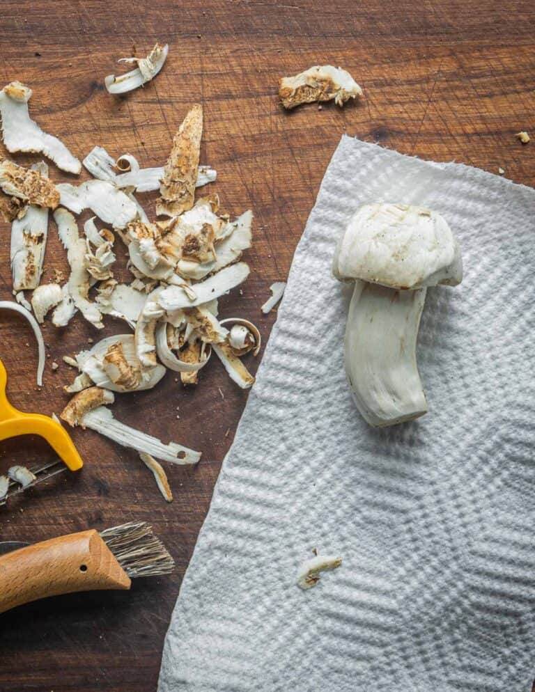 Matsutake Mushroom Miso Soup Recipe Forager Chef