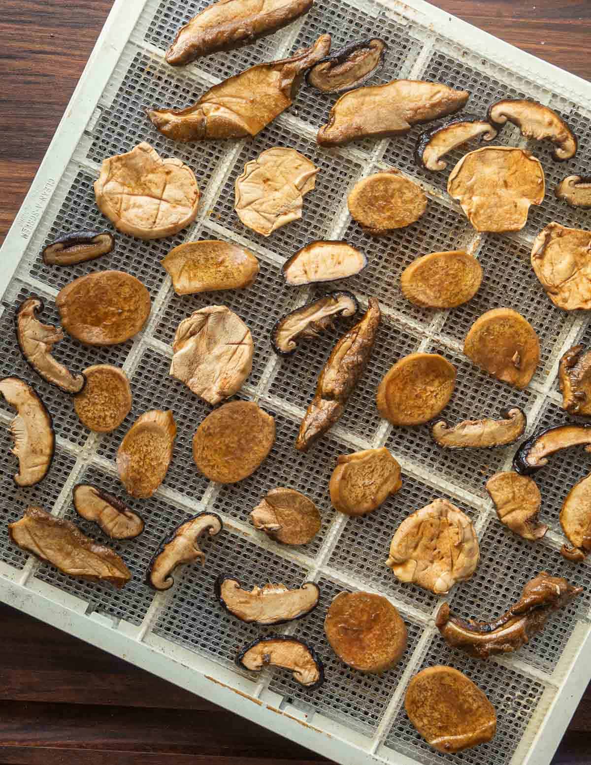 Marinated mushrooms laid out on a dehydrator rack ready to dry. 