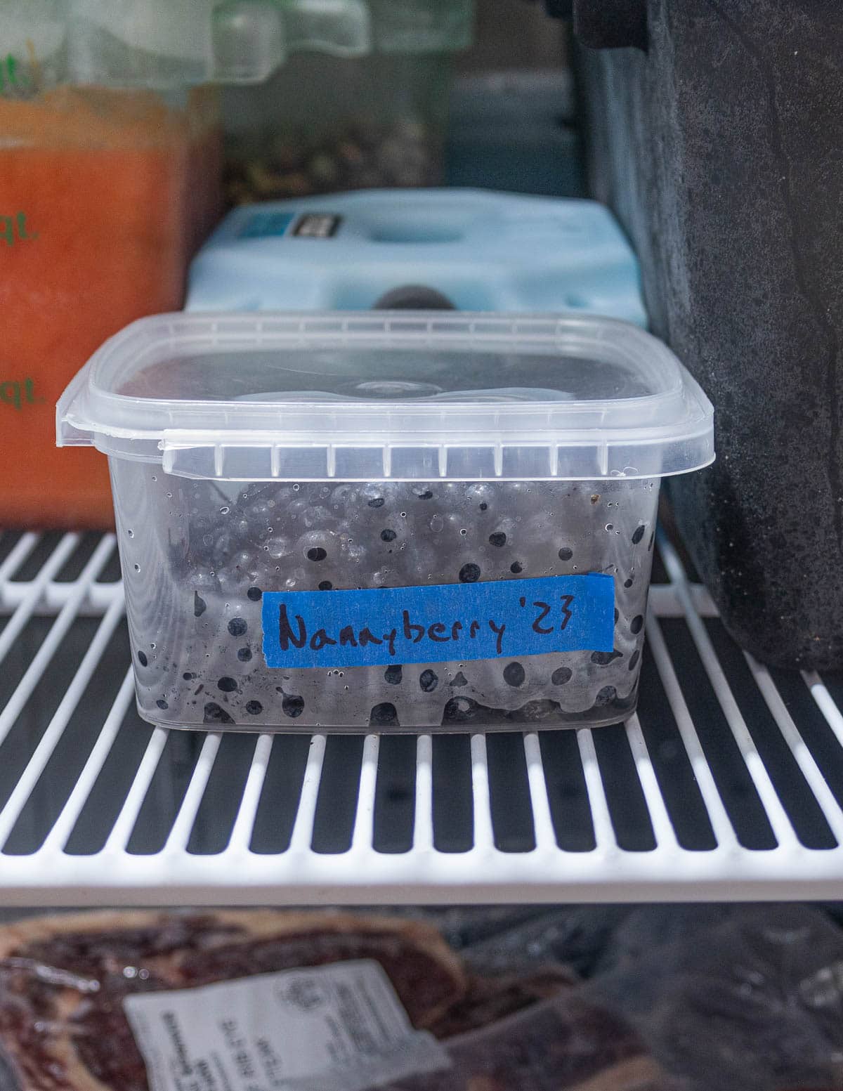 Frozen nannyberry fruit in a plastic container in a freezer. 