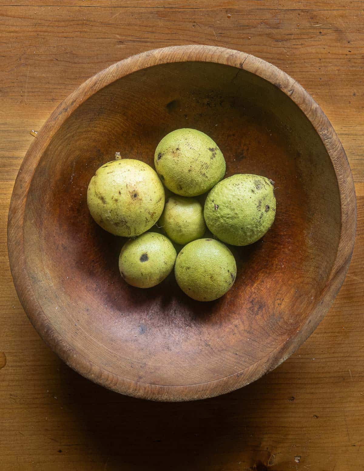 Black walnuts inside the green hulls in a bowl showing the size variation between trees. 