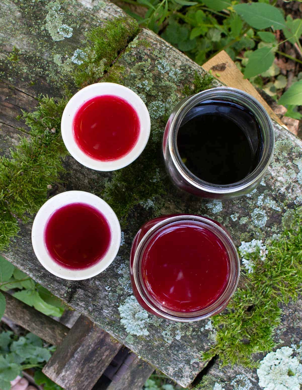 A top-down image of two jars of fruit vinegar, black cherry and chokecherry. 