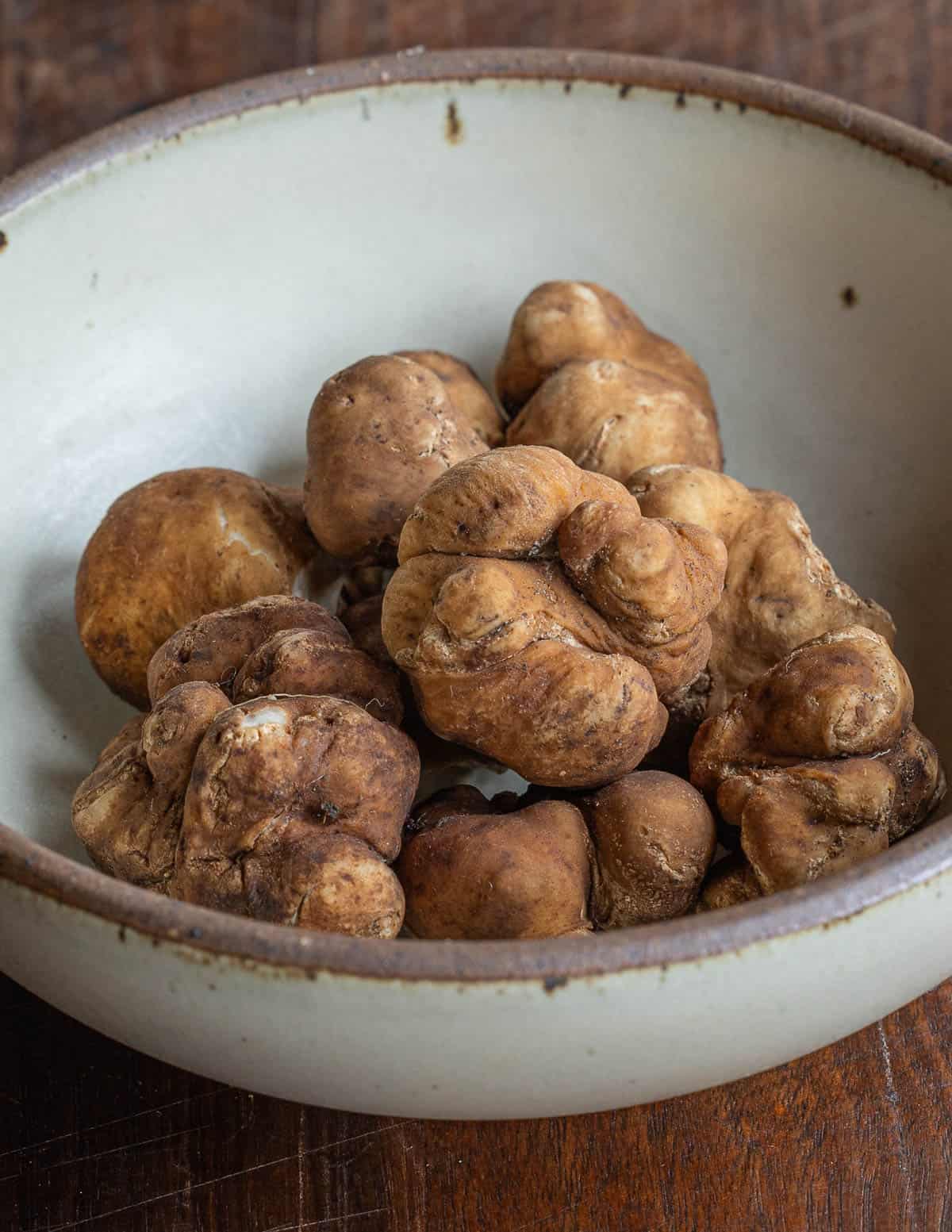 A bowl of fresh pecan truffle mushrooms from North Carolina. 