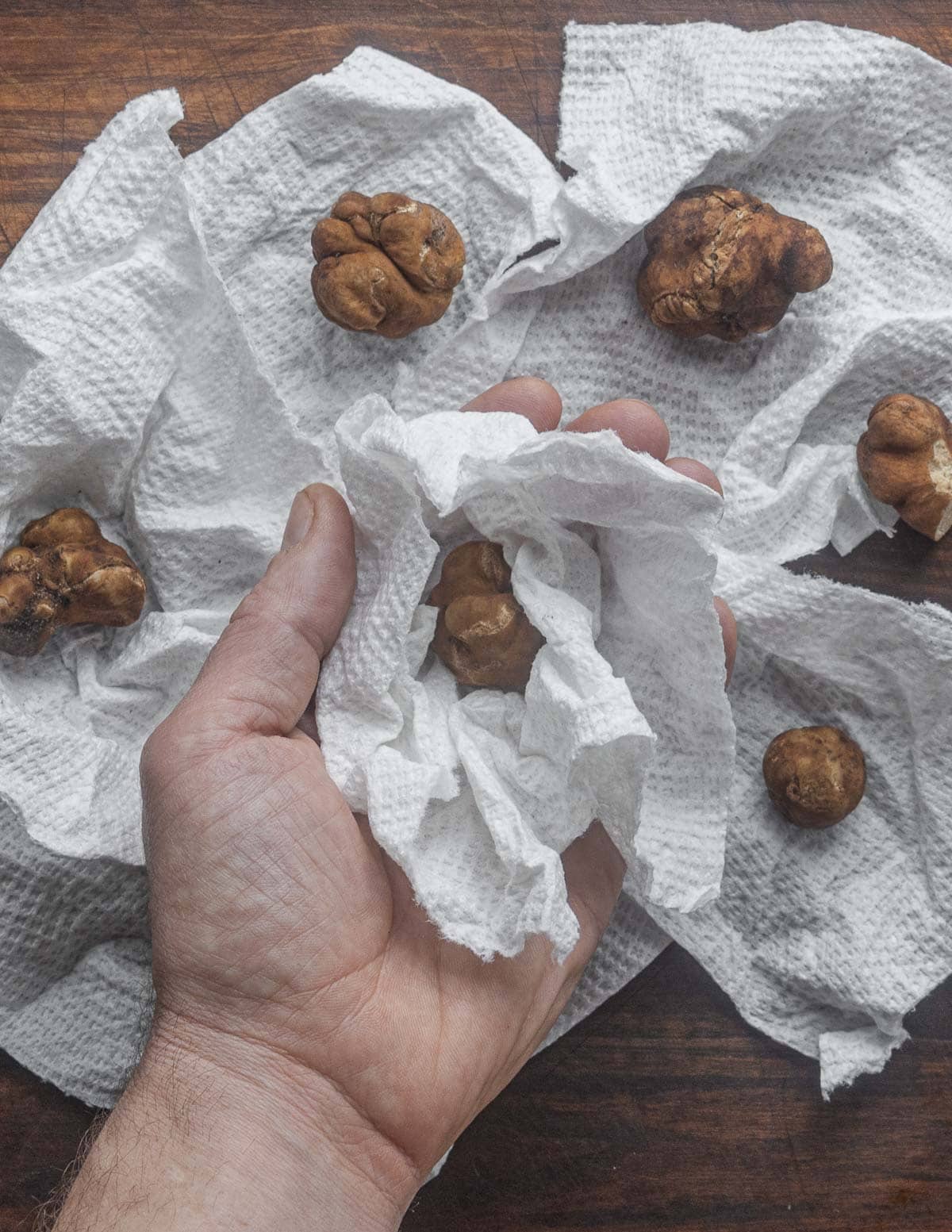 A hand holding a fresh pecan truffle wrapped in a paper towel to keep it fresh for storage. 