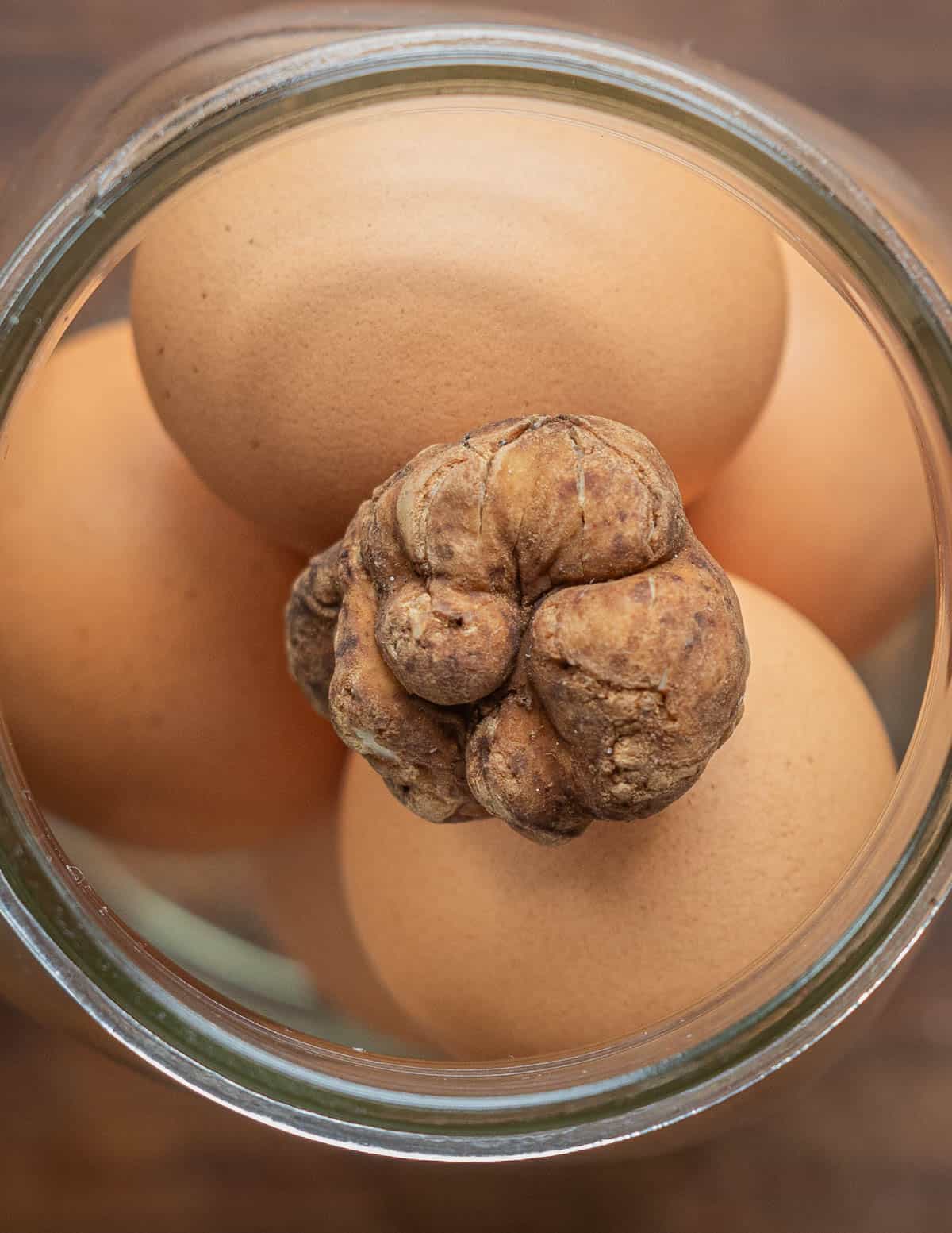 A close up image of eggs in a jar with a fresh truffle to infuse.