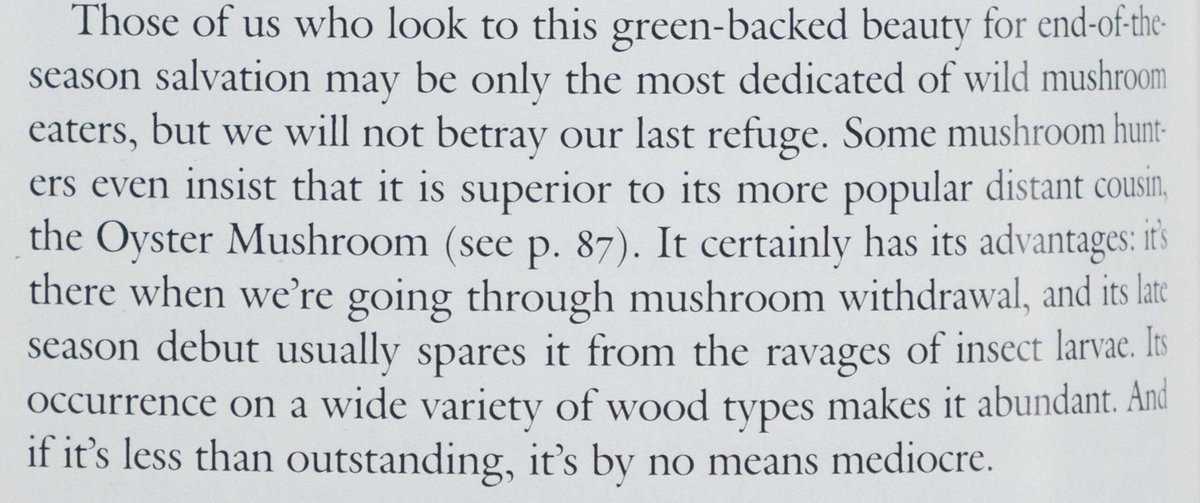 A quote from mycologist Arleen Besette regarding the edibility of sarcomyxa serotina mushroom. 